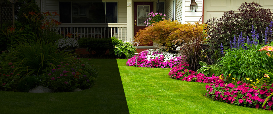 Port Byron Landscapers