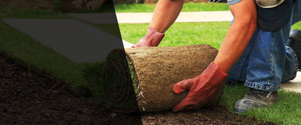 Port Byron Landscapers